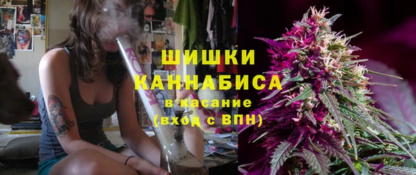 шишки Медногорск