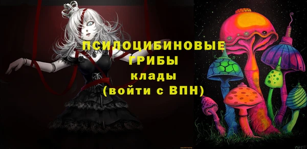 стаф Мегион